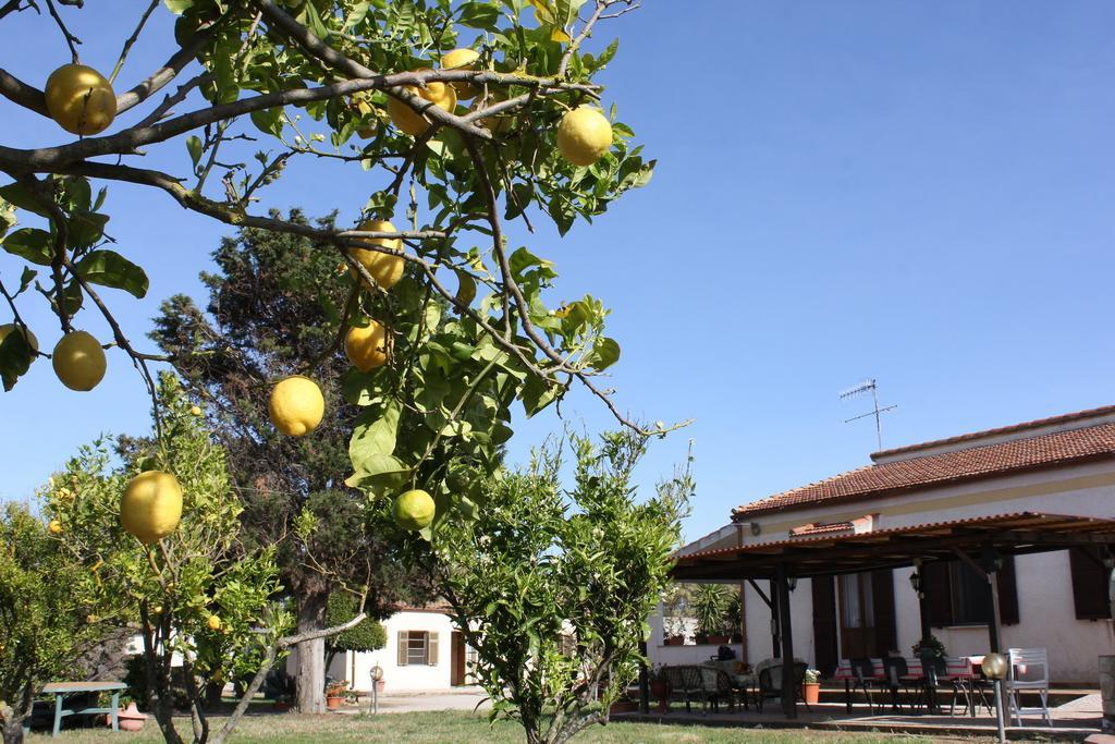 Rita B&B Sea Sun And Nature Santa Maria la Palma Quarto foto